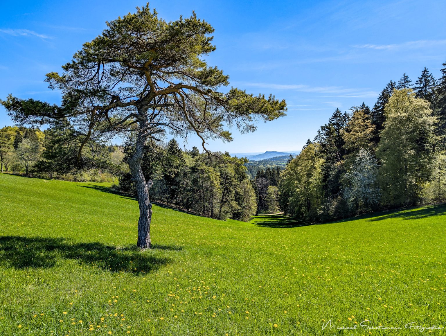 Bargen/Merishausen/Beggingen
